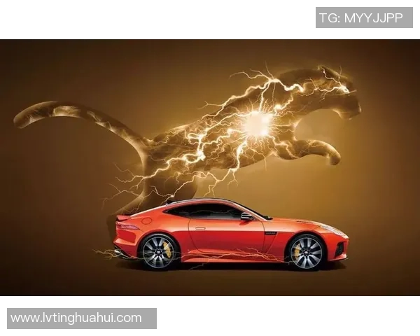 足球明星与豹子的精彩瞬间展现速度与力量的完美结合