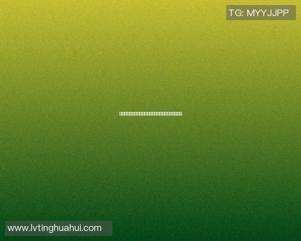 幼儿园小朋友们的足球梦想启航成为未来的足球明星之路